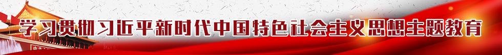学习贯彻习近平新时代中国特色社会主义思想主题教育